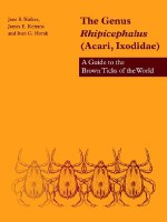 The Genus Rhipicephalus (Acari, Ixodidae): A Guide to the Brown Ticks of the World - Jane B. Walker, James E. Keirans, Ivan G. Horak