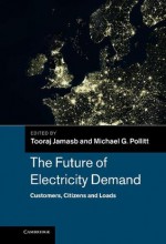 The Future of Electricity Demand: Customers, Citizens and Loads - Tooraj Jamasb, Michael Pollitt