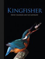 Kingfisher - David Chandler, Ian Llewellyn