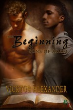 The Beginning - Vicktor Alexander