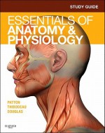 Study Guide for Essentials of Anatomy & Physiology - Andrew Case