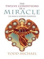 The Twelve Conditions of a Miracle - Todd Michael