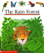 The Rain Forest - René Mettler