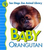 Baby Orangutan - Julie D. Shively