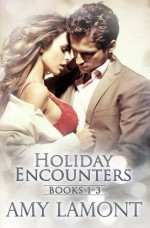 Holiday Encounters: Books 1-3 - Amy Lamont