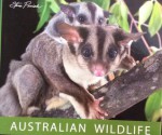 Australian Wildlife Unique and Unusual - Steve Parish, Karin Cox