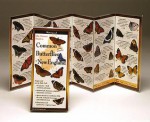 The Ultimate Guide to Common & Some Exotic Butterflies of New England - Rick Cech