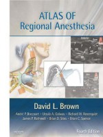 Atlas of Regional Anesthesia (Expert Consult Title: Online + Print) - David L. Brown