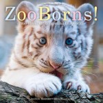 ZooBorns!: Zoo Babies from Around the World - Andrew Bleiman, Chris Eastland