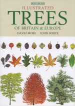 Encyclopedia of Trees - David More