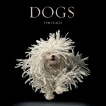 Dogs - Tim Flach, Lewis Blackwell