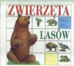 Zwierzęta lasów. Zwierzęta mórz - Julie Bampton