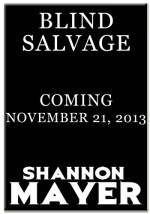 Blind Salvage - Shannon Mayer