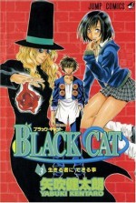 Black Cat, Vol. 3: What the Living Can Do: v. 3 - Kentaro Yabuki