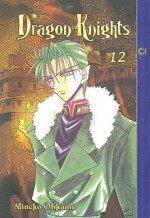 Dragon Knights: Volume 12 (Dragon Knights (Sagebrush)) - M. Ohkami