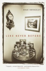 Like Never Before - Ehud Havazelet