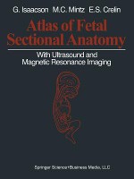 Atlas of Fetal Sectional Anatomy: With Ultrasound and Magnetic Resonance Imaging - Glenn Isaacson, Marshall C Mintz, Edmund S Crelin