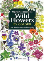 Wild Flowers by Colour - Marjorie Blamey