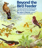 Beyond the Bird Feeder: The Habits and Behavior of Feeding-Station Birds When They are Not at Your Feeder - John V. Dennis, Matthew Kalmenoff