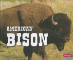 American Bison - Steve Potts