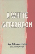 White Afternoon & Other Stories: New Welsh Short Fiction - Meic Stephens