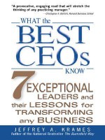 What the Best Ceos Know - Jeffrey Krames