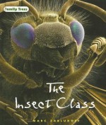 The Insect Class - Marc Zabludoff