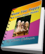 Name Your Puppy: the Cutest Puppy Names - Steven Johnson, Michelle White