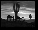 The Desert Cold - David Tallerman