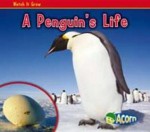 A Penguin's Life. Nancy Dickmann - Dickmann, Nancy Dickmann