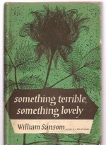 Something terrible, something lovely - William Sansom