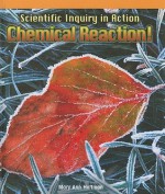 Scientific Inquiry in Action: Chemical Reaction! - Mary Ann Hoffman