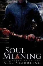 Soul Meaning - A.D. Starrling