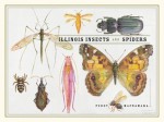 Illinois Insects and Spiders - Peggy Macnamara, Jim Boone, Paul Goldstein, Chris Grinter, Division of Insects at the Field Museum, Maggie Daley