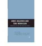 James Baldwin and Toni Morrison: Comparative Critical and Theoretical Essays - Lovalerie King, Lynn Orilla Scott