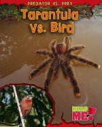 Tarantula vs. Bird - Mary Meinking