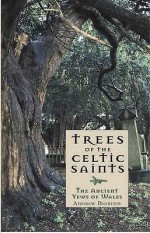 Trees Of The Celtic Saints The Ancient Yews Of Wales - Andrew Morton