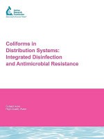 Coliforms in Distribution Systems: Integrated Disinfection and Anti-Microbial Resistance - Graham A. Gagnon