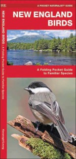 New England Birds: A Folding Pocket Guide to Familiar Species - James Kavanagh, Raymond Leung