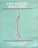 The Human Skeleton - Pat Shipman, Alan Walker