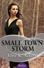 Small Town Storm - Elise K. Ackers