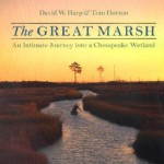 The Great Marsh: An Intimate Journey into a Chesapeake Wetland - David W. Harp, Tom Horton