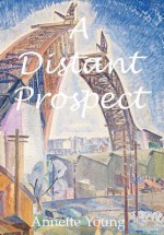 A Distant Prospect - Annette Young