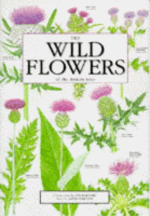 The Wild Flowers of the British Isles - David Streeter, Ian Garrard