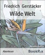 Wilde Welt (German Edition) - Friedrich Gerstäcker