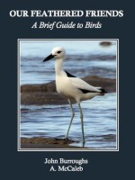 Our Feathered Friends: A Brief Guide to Birds - A. McCaleb, John Burroughs