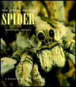 The World of the Spider - Adrienne Mason