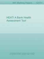 Heat! a Bank Health Assessment Tool - Li L Ong, Phakawa Jeasakul