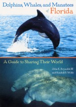 Dolphins, Whales, and Manatees of Florida: A Guide to Sharing Their World - John E. Reynolds, Randall S. Wells