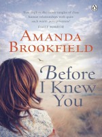 Before I Knew You - Amanda Brookfield